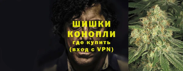 Альфа ПВП Аркадак