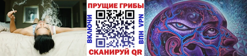 Псилоцибиновые грибы Magic Shrooms даркнет Telegram Луза